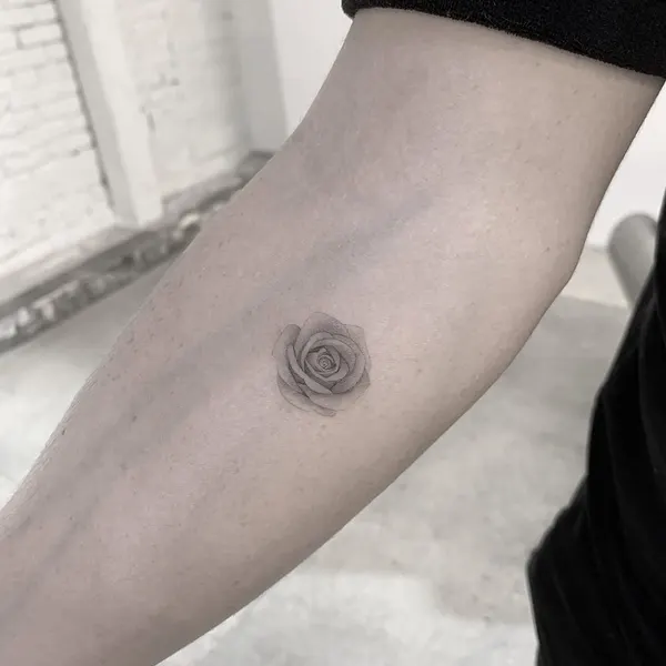 원, Flower, Rose, 나선, 차크라, 음양