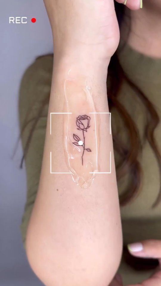 Mini, 게자리, 해부학, 처녀자리, 물고기자리