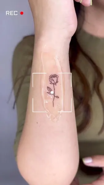 Mini, 게자리, 해부학, 처녀자리, 물고기자리