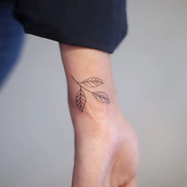 Lettering, 데이지, Flower
