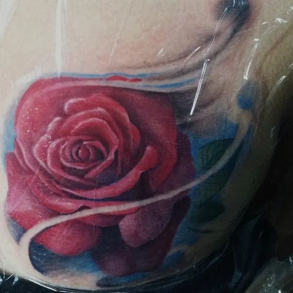 Flower, Rose