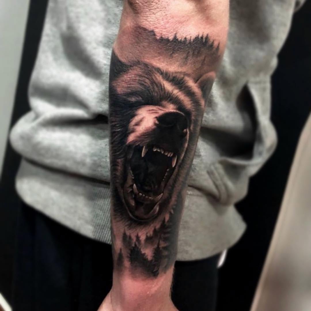Animal, 고릴라
