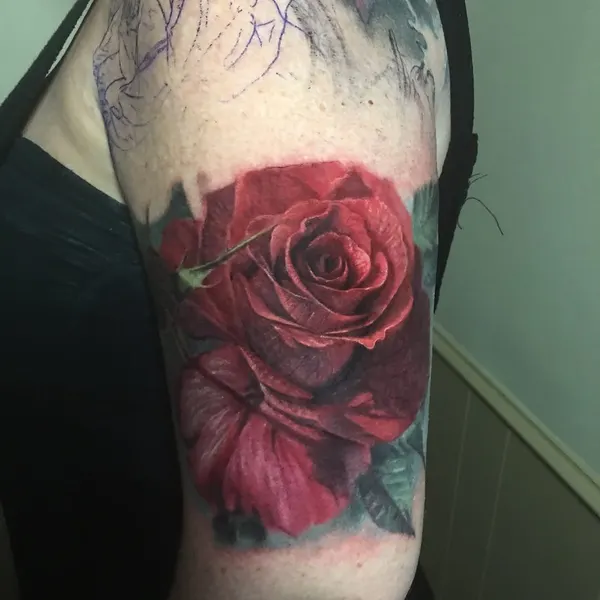 Flower, Rose