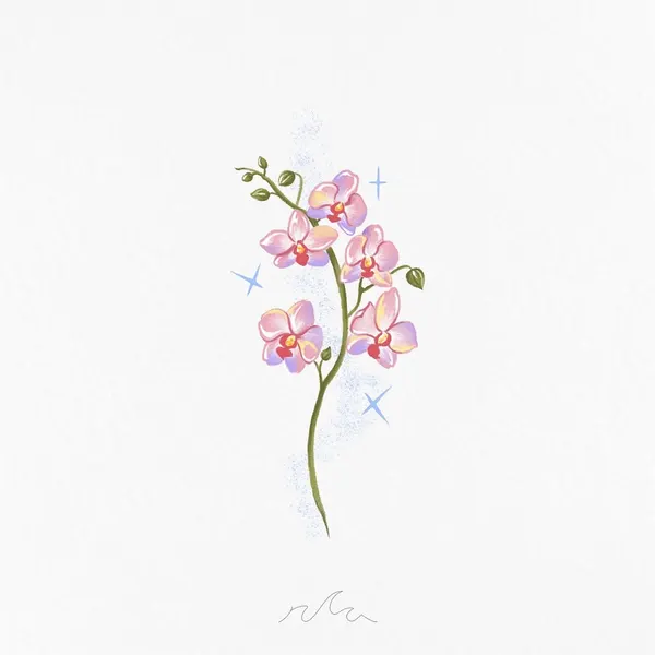 Flower, Nature