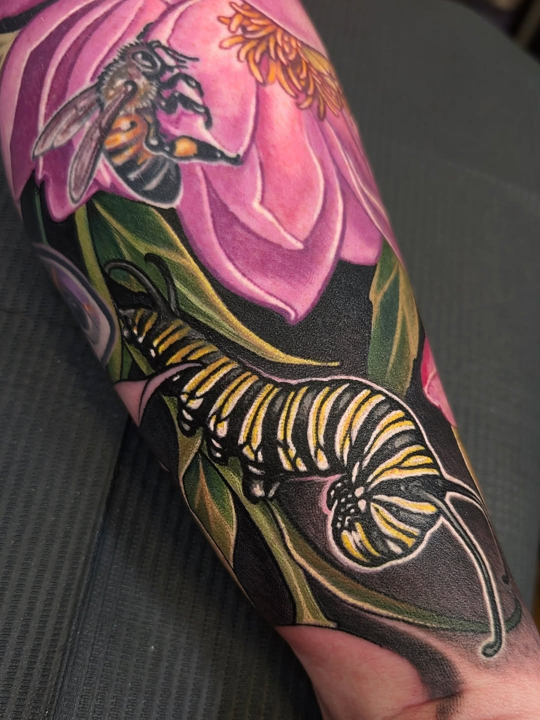 Dragon, Animal, Nature