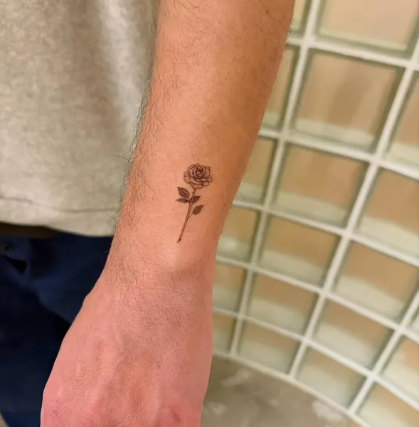 Flower, Rose, 미니멀