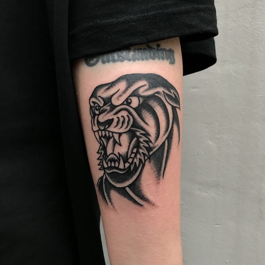Animal, Tiger