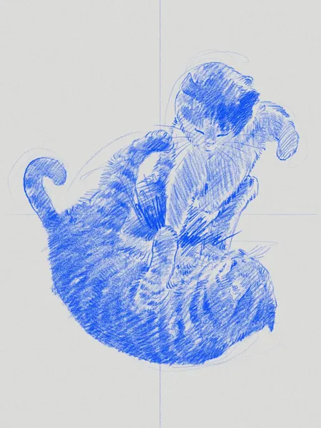 Animal