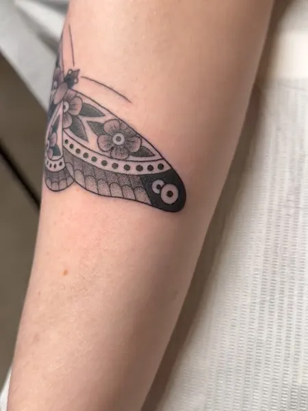 Animal, Nature, 다루마