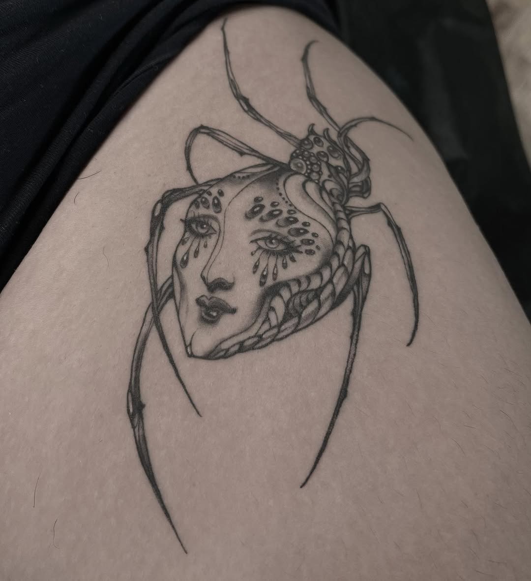 Animal