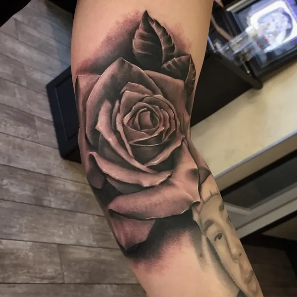 Flower, Rose