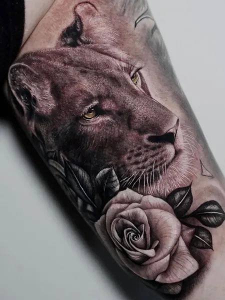 Tiger, Animal