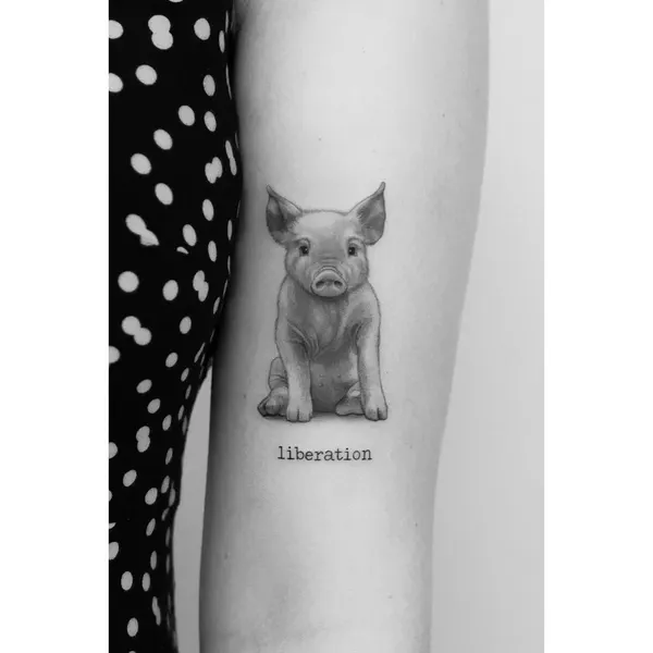 Animal, 돼지