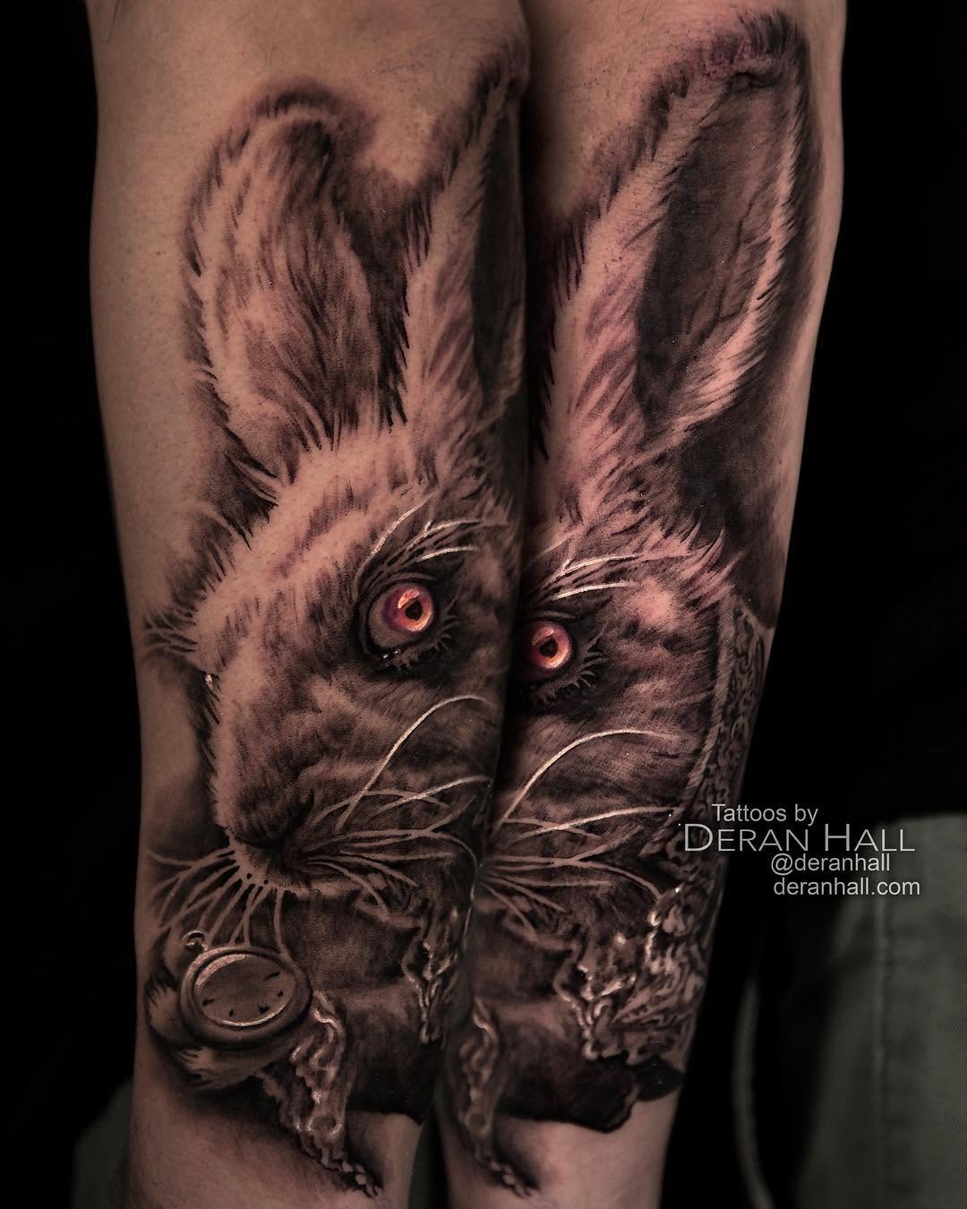 Animal