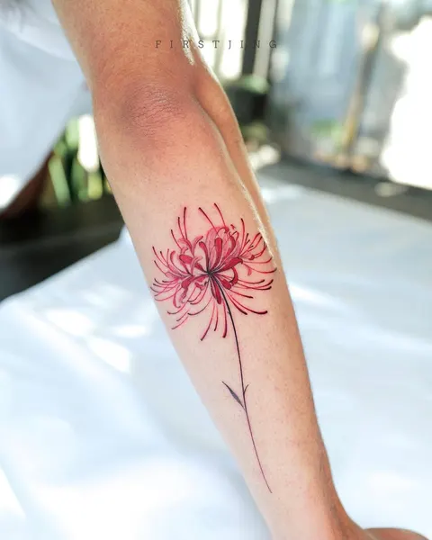 Flower, 산호, 민들레, 해파리, 카네이션, 데이지