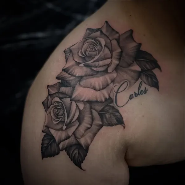 Flower, Nature, Rose