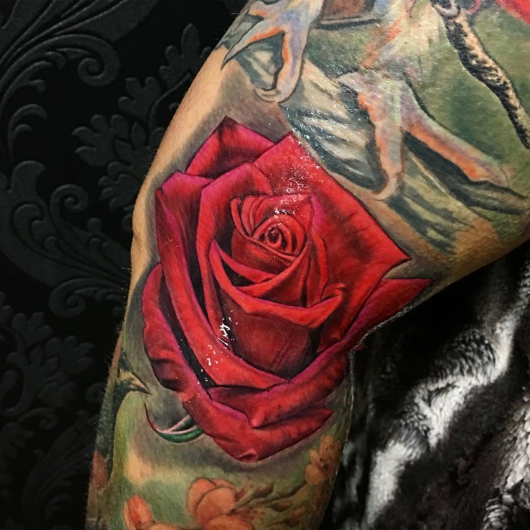 Flower, Rose