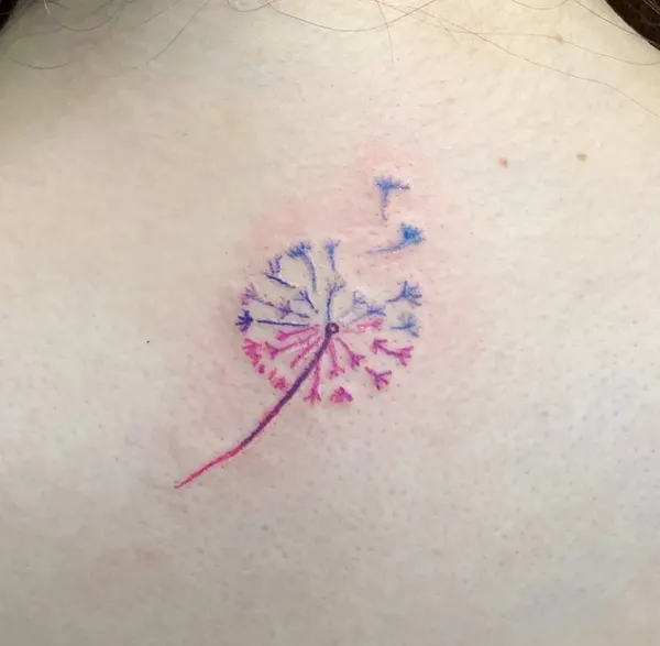 Flower, 모란, 벚꽃, 조개껍데기, 히비스커스, 매화, 은행잎, 한국 연꽃