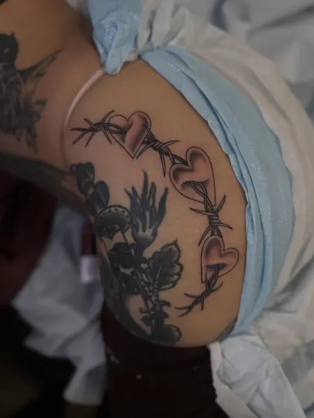 쥐, Dragon