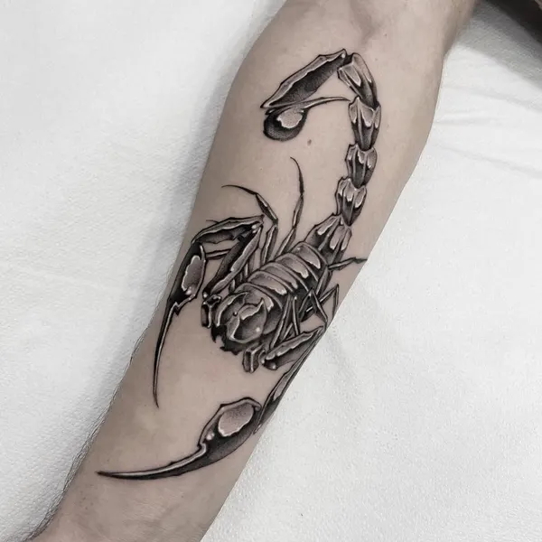 게, 랍스터, 크라켄