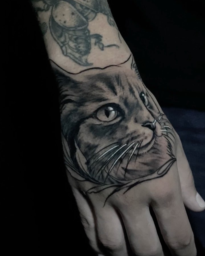 Animal