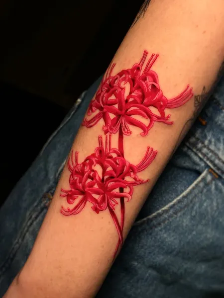 Flower, 산호
