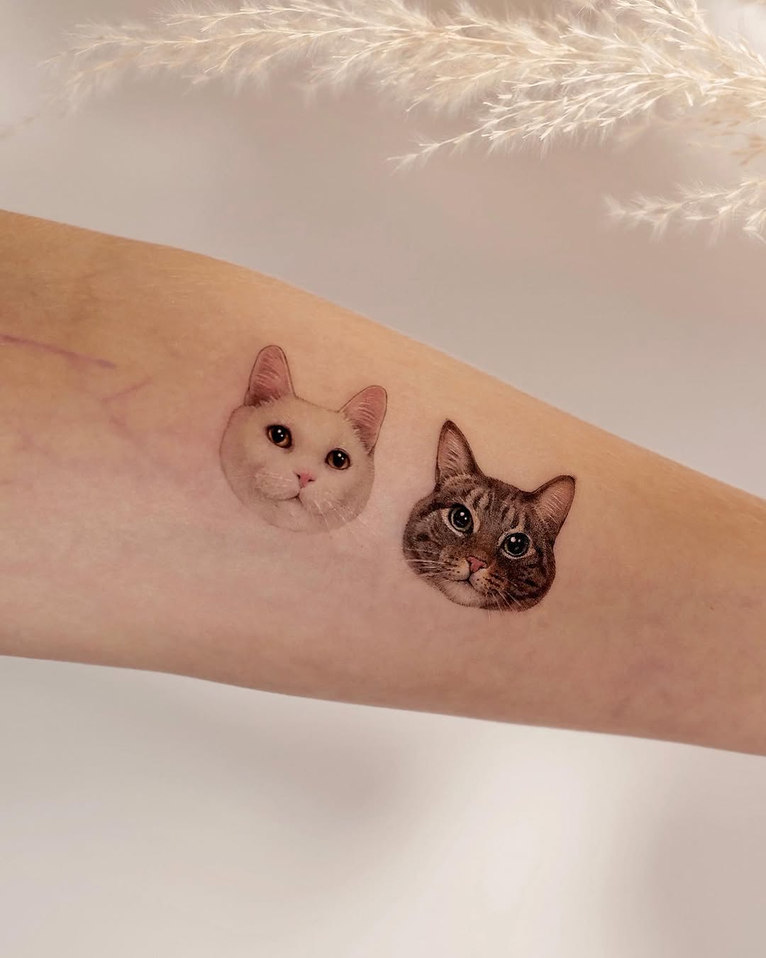 고양이