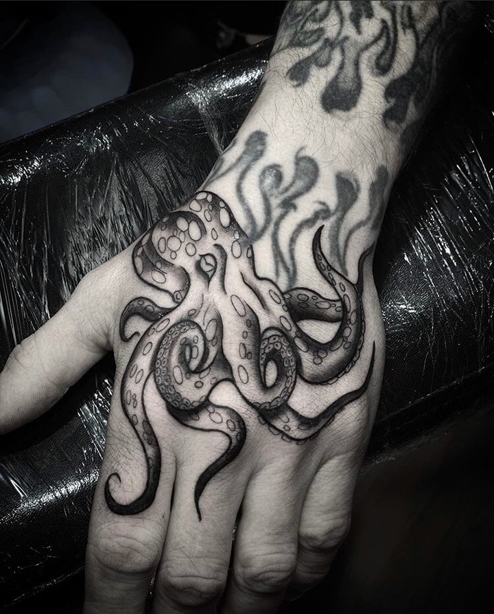 Animal, 크라켄