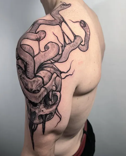 Dragon, 케르베로스