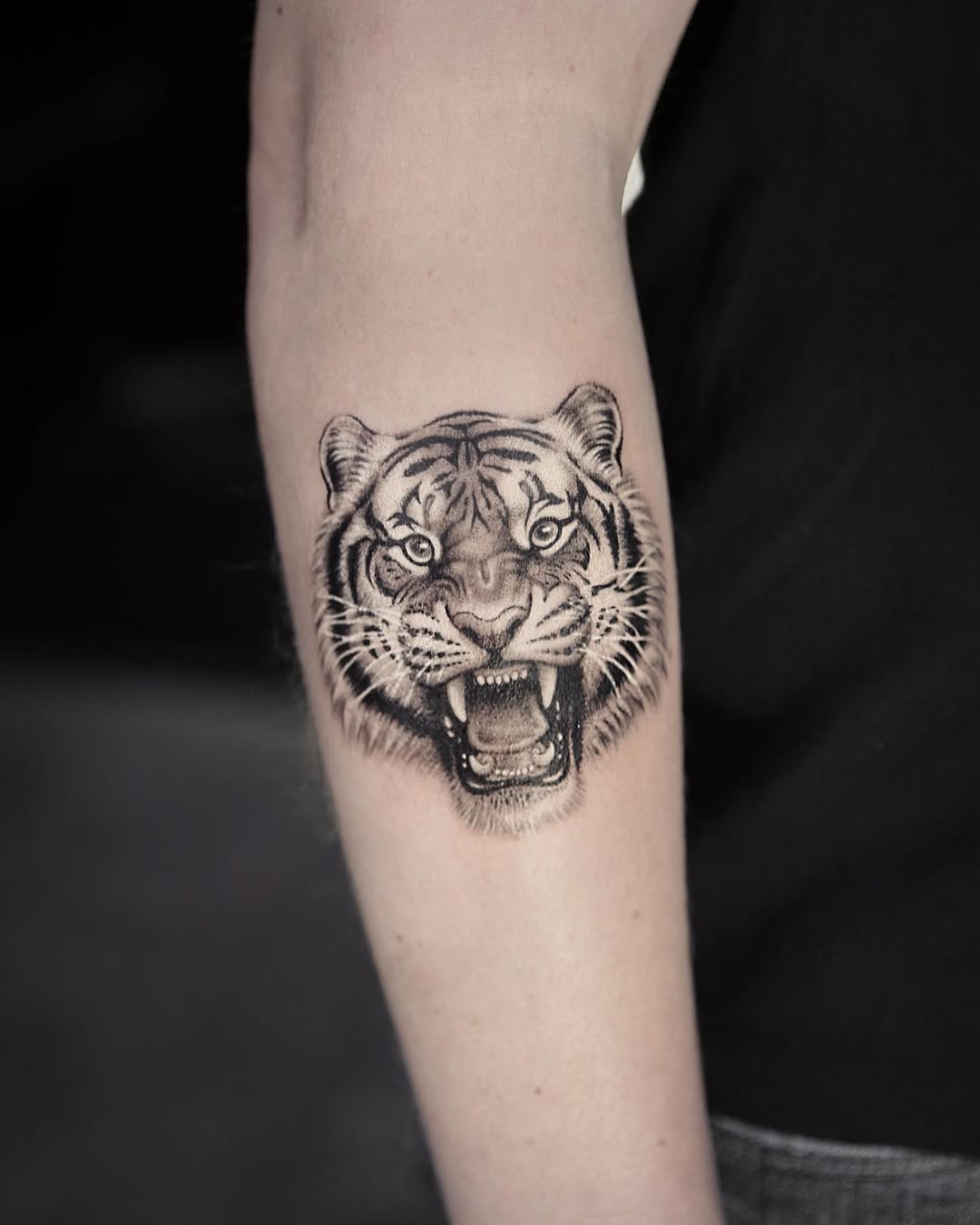 Tiger, 사자자리, 일본 호랑이, 중국 호랑이, 한국 호랑이