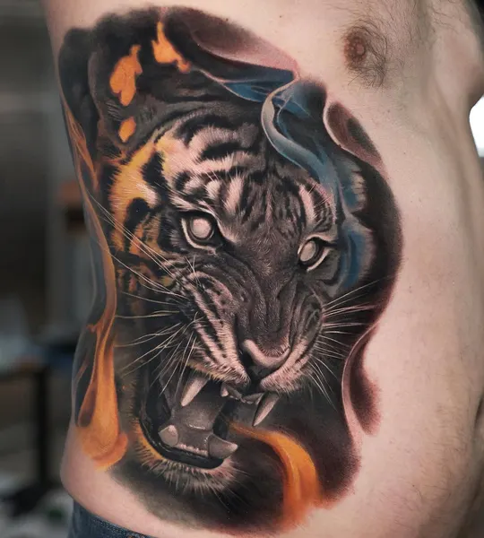 Tiger, 한국 호랑이, 중국 호랑이