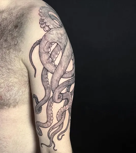 Animal, Dragon, 케르베로스