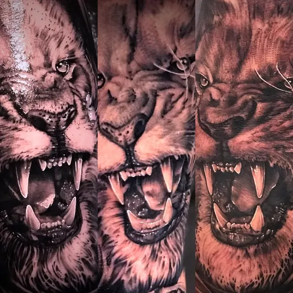 Tiger