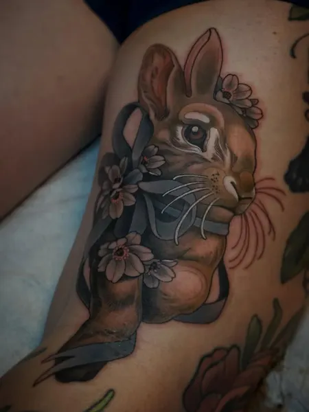Animal, 토끼