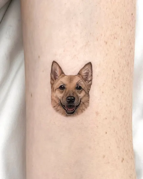 Animal