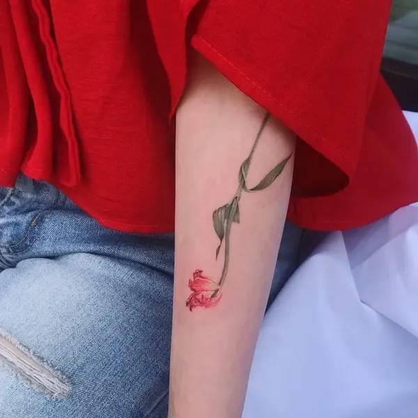 Flower, Rose