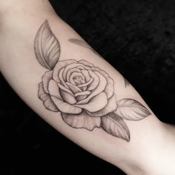 Flower, Rose