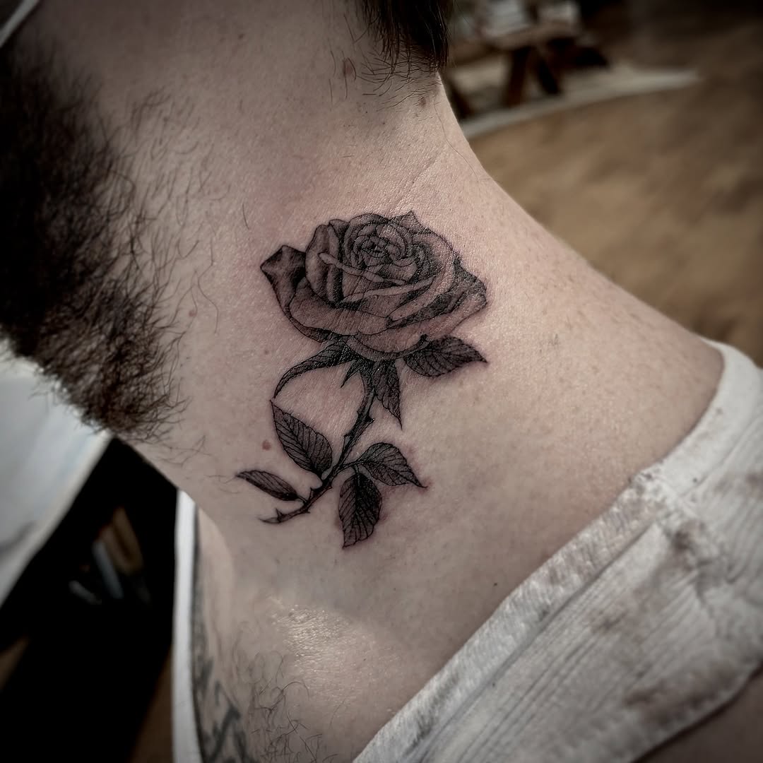 Flower, Rose, Nature