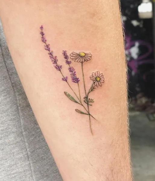 Flower, Rose, 덩굴, 허브, 야생화, 올리브 가지, 뿌리, 지혜, 추억, 포도, 프레임, 회복력, 카네이션