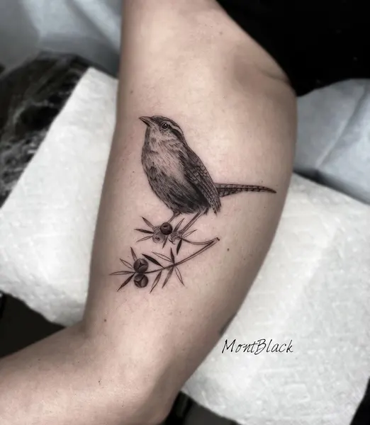 새