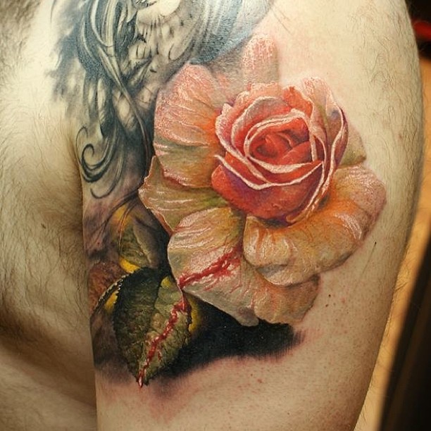Flower, Rose, Nature