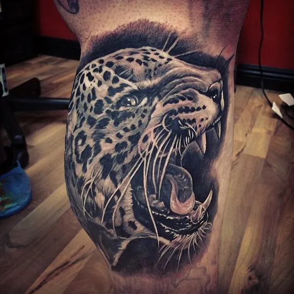Animal, 표범, 재규어