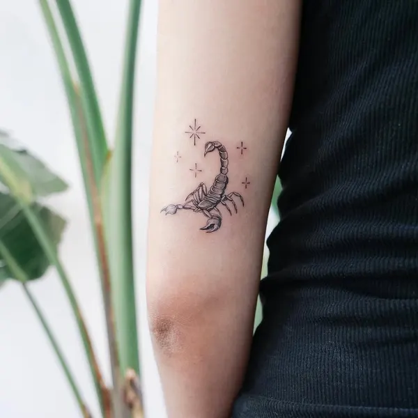 Dragon, 백조, 플라밍고