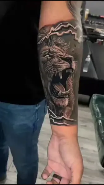 Tiger, 사자, 제우스