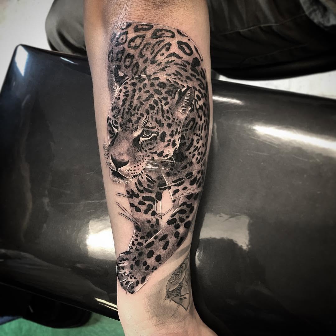 Animal, 치타, 표범