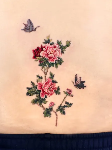 Flower, Rose, Nature