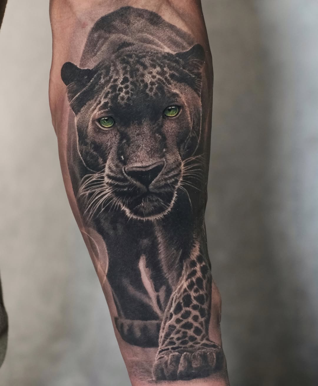 Animal, 치타, 팬서, 표범, 재규어