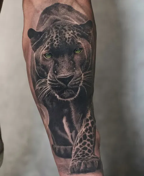 Animal, 치타, 팬서, 표범, 재규어