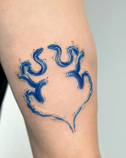 산호, Dragon, 해파리, 문어, 크라켄