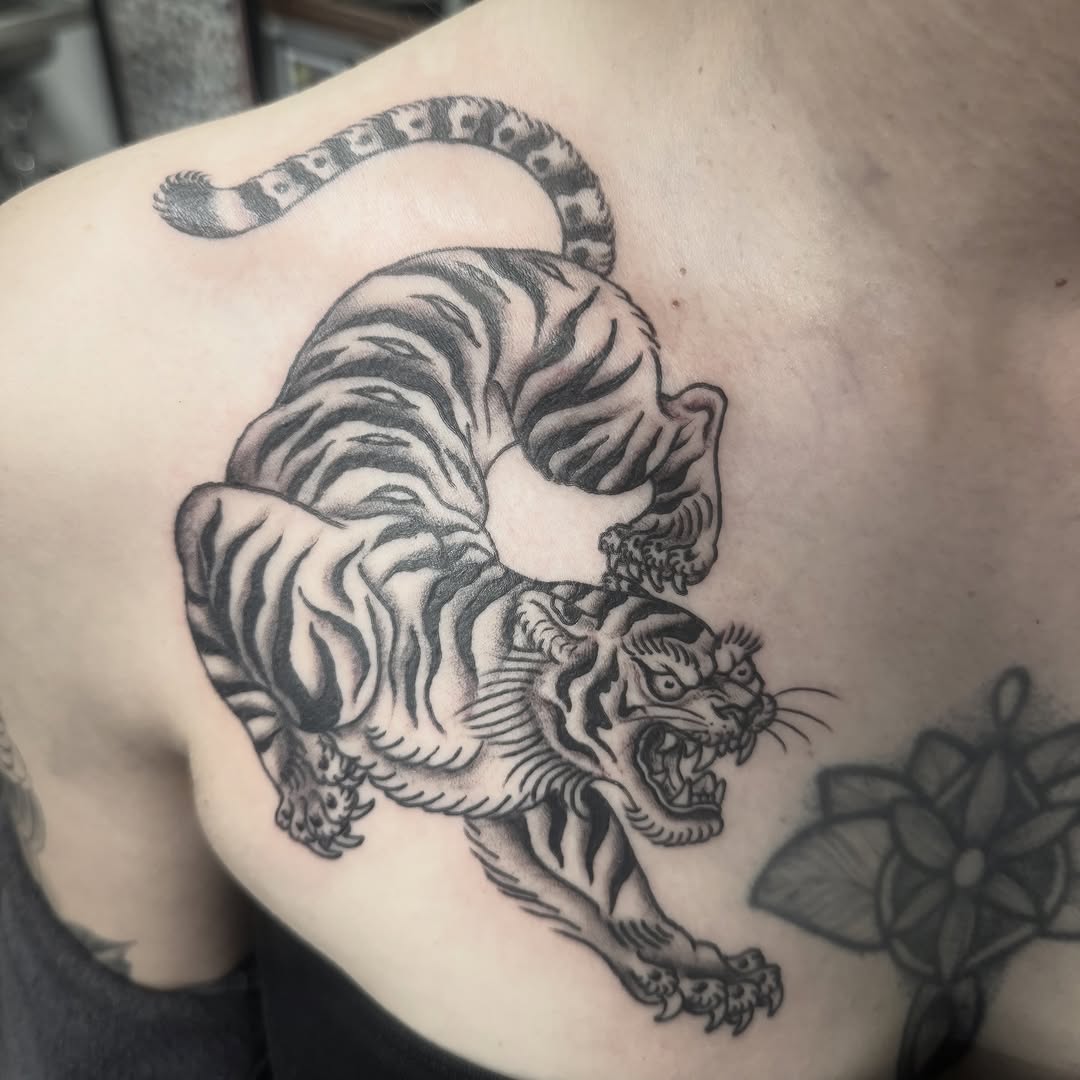 Tiger, 일본 호랑이, 중국 호랑이, 한국 호랑이